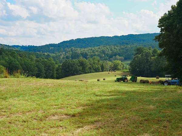 22.4 Acres of Land for Sale in Willis, Virginia