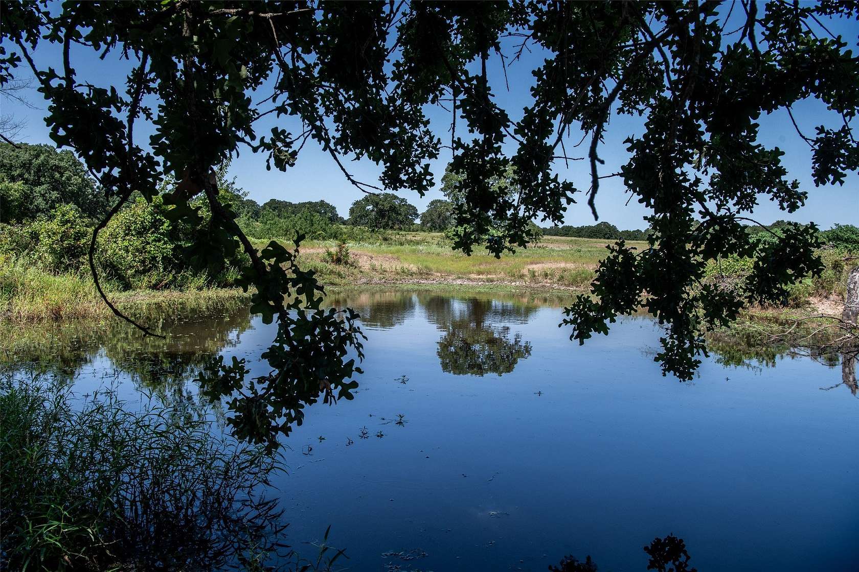 122 Acres of Land with Home for Sale in Sunset, Texas