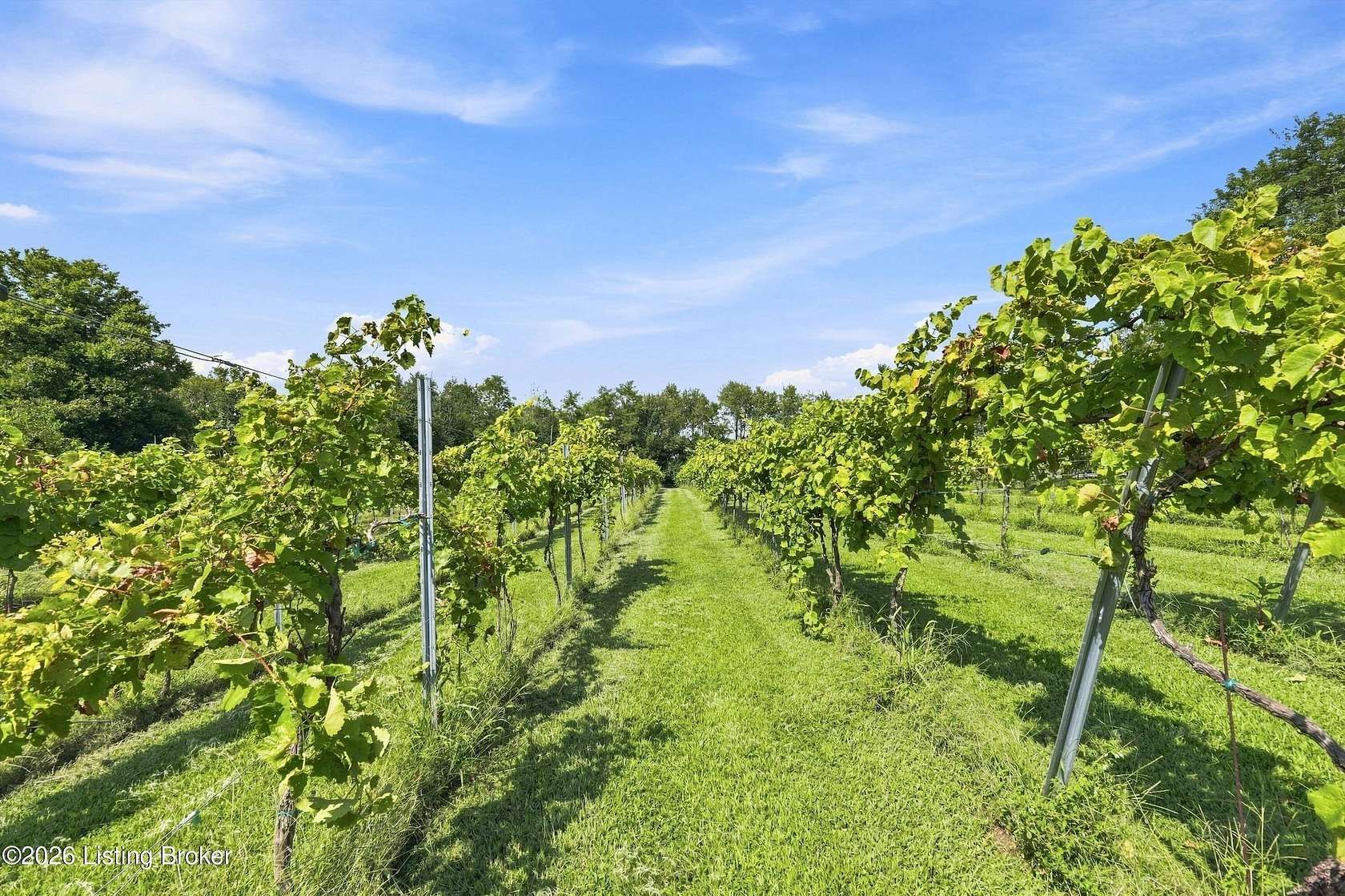 5.18 Acres of Land with Home for Sale in Simpsonville, Kentucky