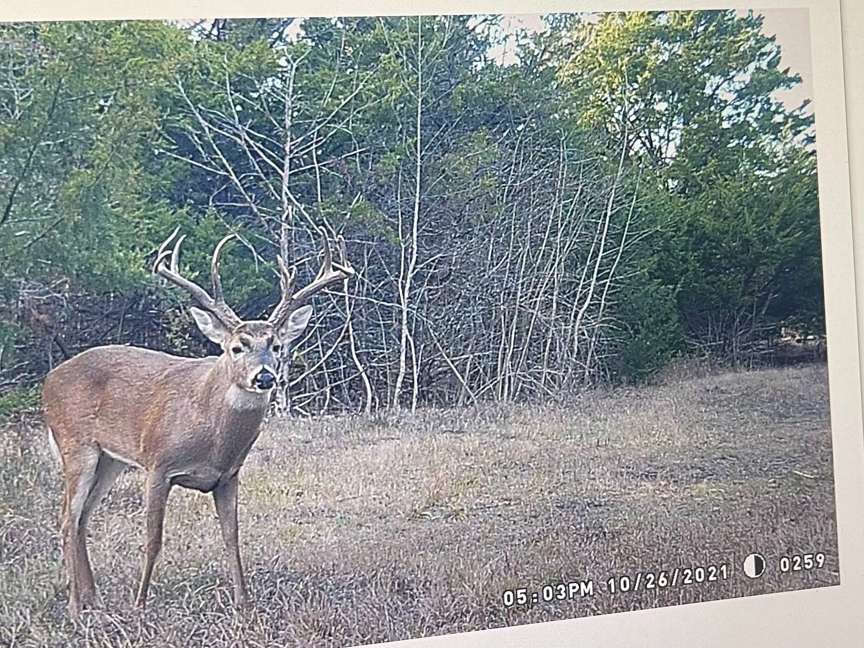 43.7 Acres of Land for Sale in Detroit, Texas