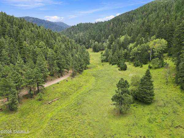 40 Acres of Recreational Land for Sale in Cloudcroft, New Mexico