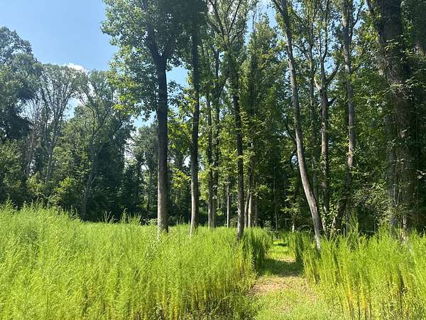 37 Acres of Land for Sale in Greenville, South Carolina