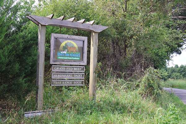 143 Acres of Land for Sale in Wilsons, Virginia