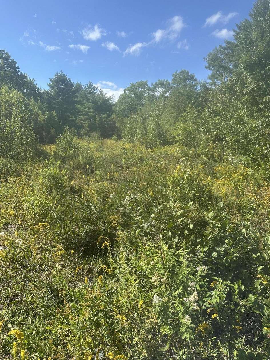 15 Acres of Land for Sale in Steuben, Maine