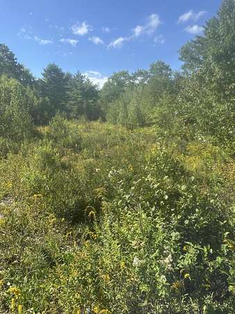 15 Acres of Land for Sale in Steuben, Maine