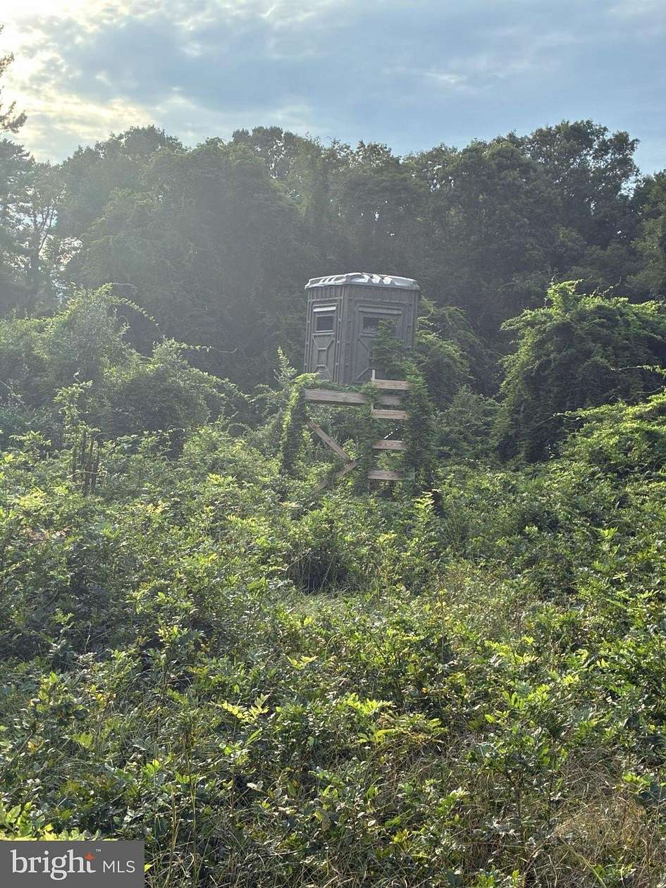 21.7 Acres of Recreational Land for Sale in Bridgeton, New Jersey
