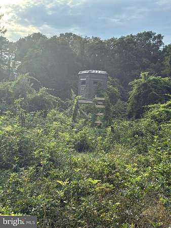 21.7 Acres of Recreational Land for Sale in Bridgeton, New Jersey