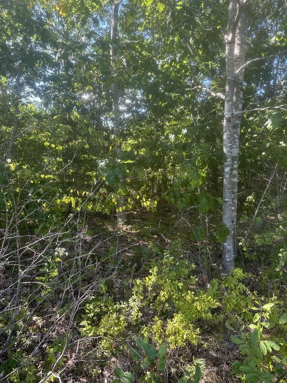 5.3 Acres of Residential Land for Sale in Steuben, Maine
