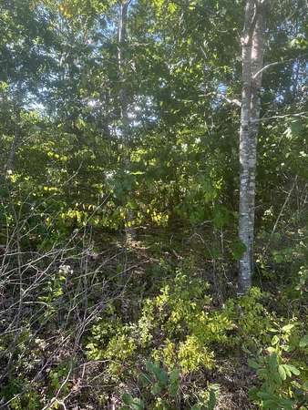 5.3 Acres of Residential Land for Sale in Steuben, Maine
