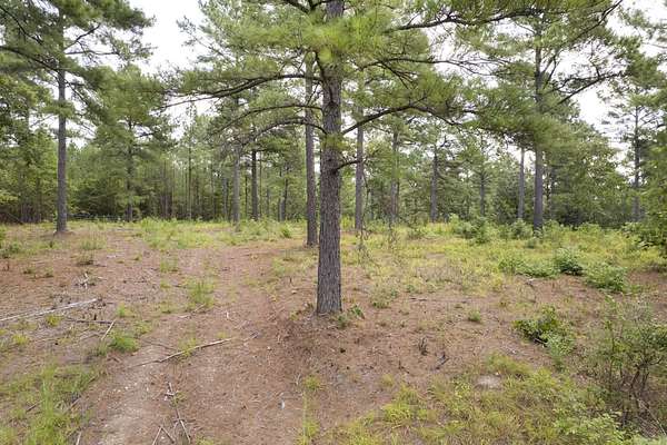 3 Acres of Residential Land for Sale in Little Rock, Arkansas