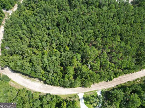 5 Acres of Land for Sale in Townsend, Georgia