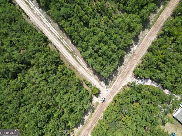 5.74 Acres of Land for Sale in Townsend, Georgia