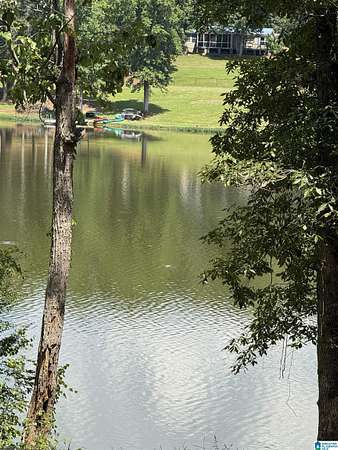 1 Acre of Residential Land for Sale in Wedowee, Alabama