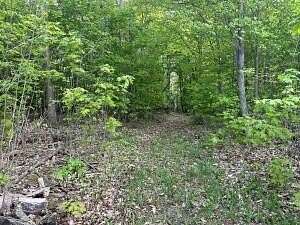 0.6 Acres of Land for Sale in Cheboygan, Michigan