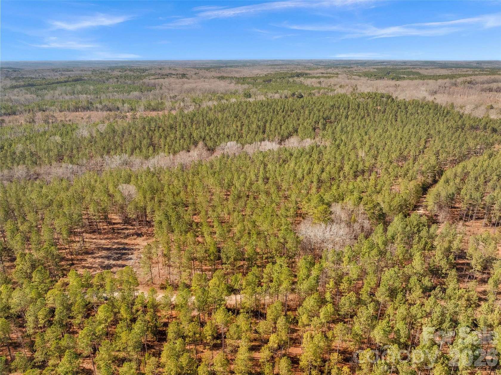10 Acres of Residential Land for Sale in McConnells, South Carolina
