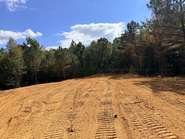 12.4 Acres of Land for Sale in Arley, Alabama