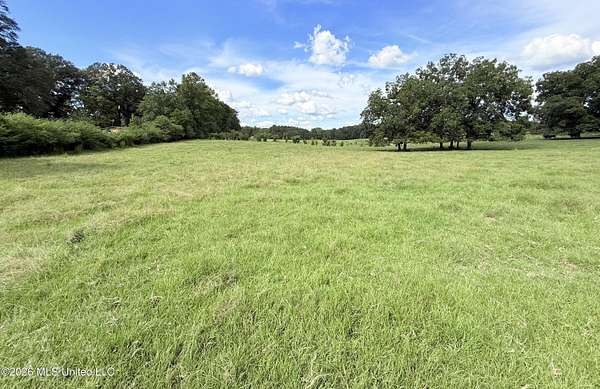 12.4 Acres of Land for Sale in Bogue Chitto, Mississippi