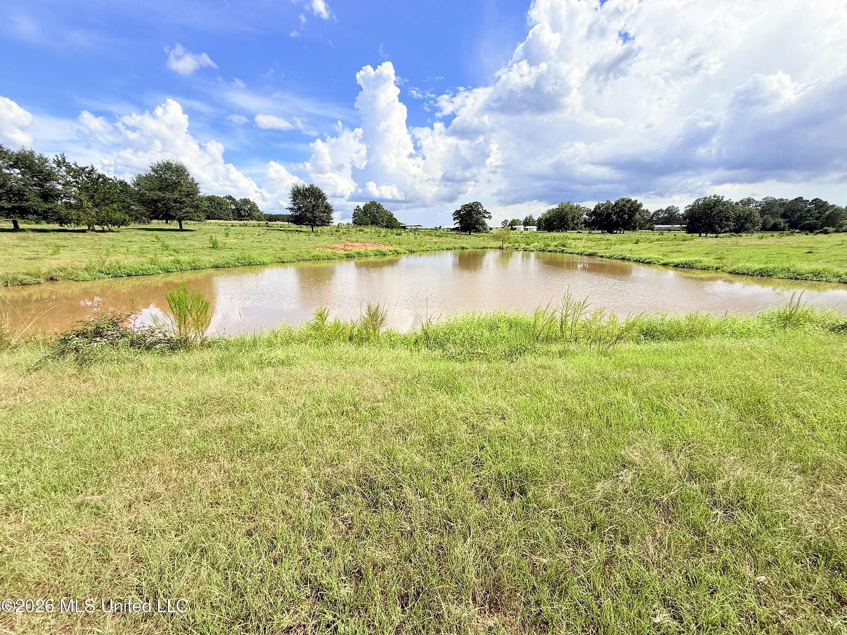 13.7 Acres of Land for Sale in Bogue Chitto, Mississippi