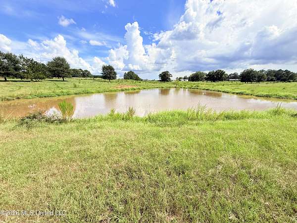 13.7 Acres of Land for Sale in Bogue Chitto, Mississippi