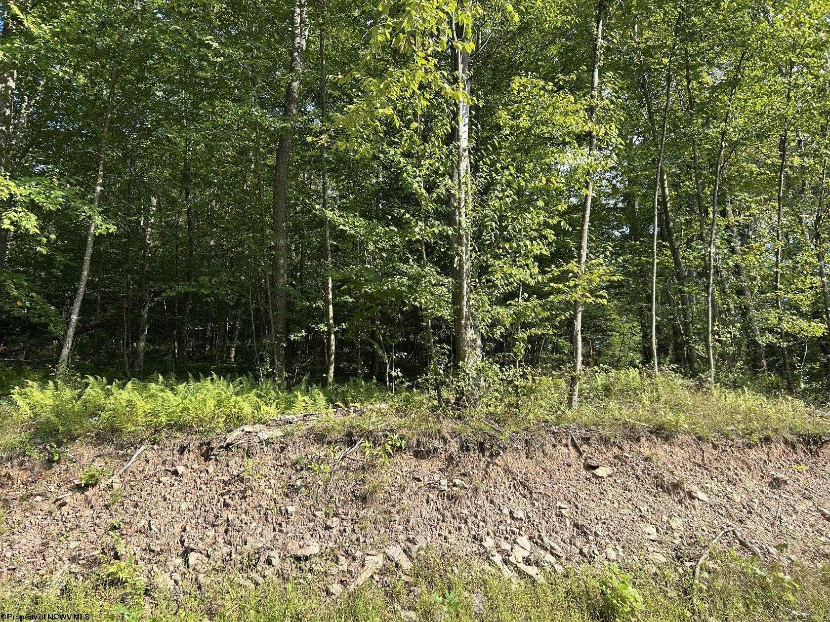 13.5 Acres of Recreational Land for Sale in Terra Alta, West Virginia