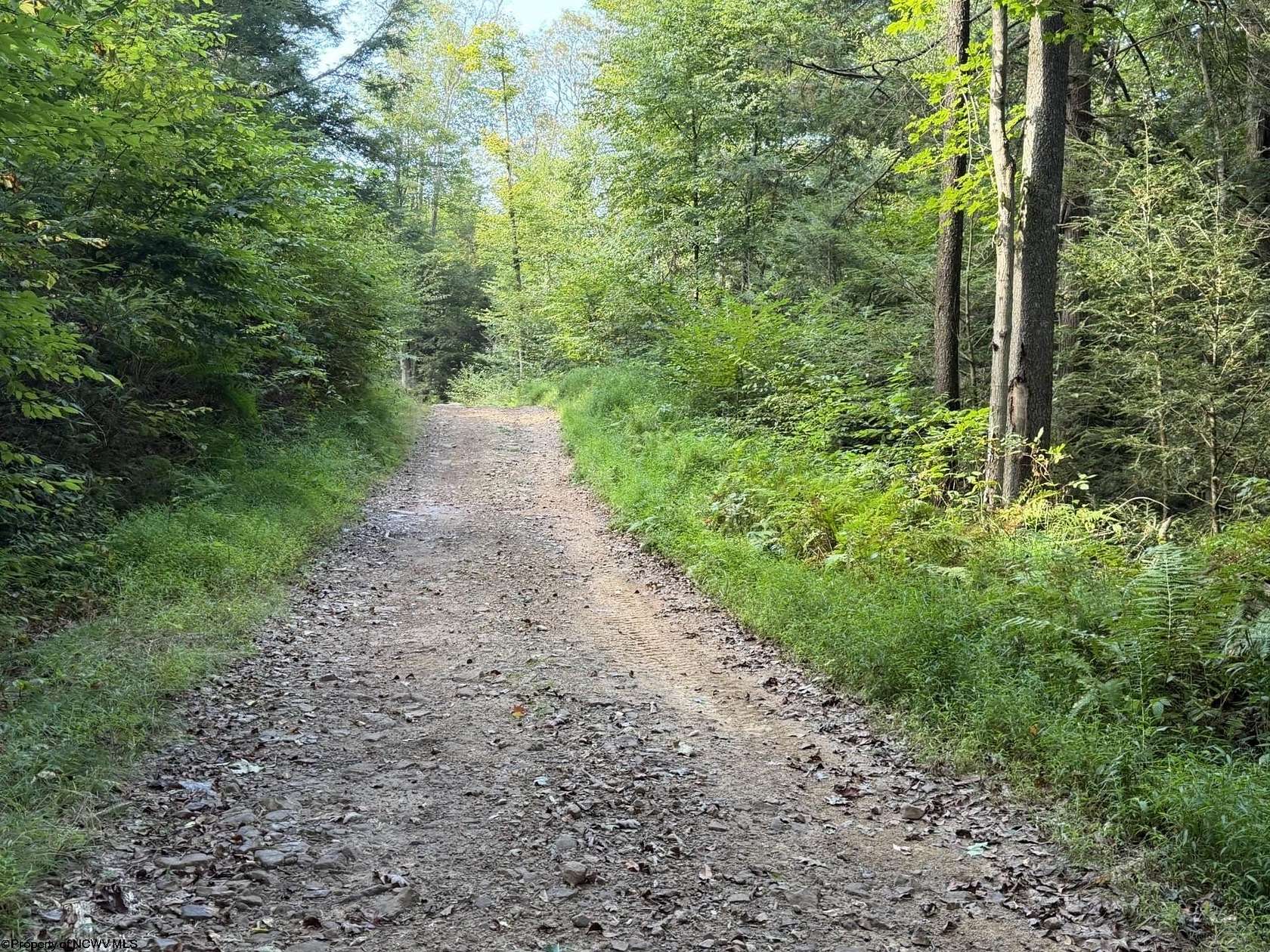 18.3 Acres of Recreational Land for Sale in Terra Alta, West Virginia