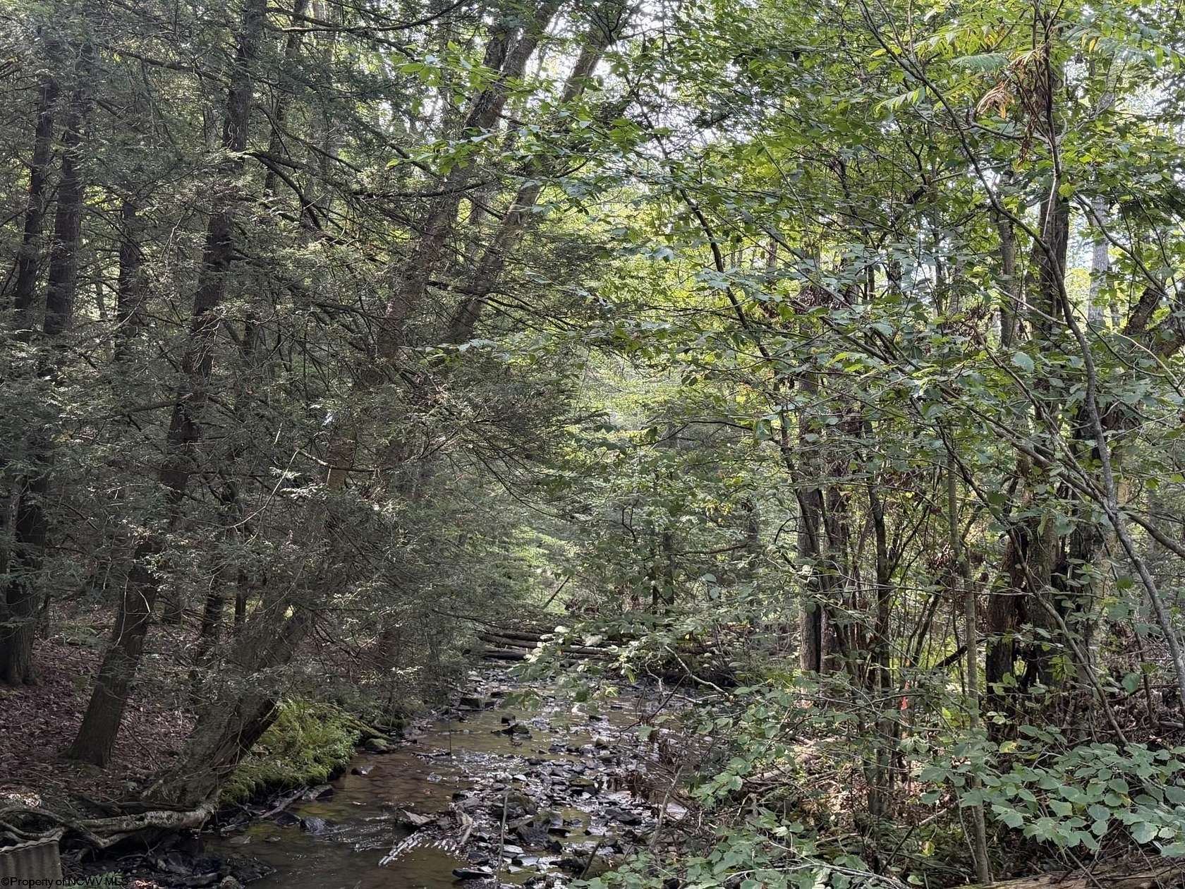 22.6 Acres of Recreational Land for Sale in Terra Alta, West Virginia