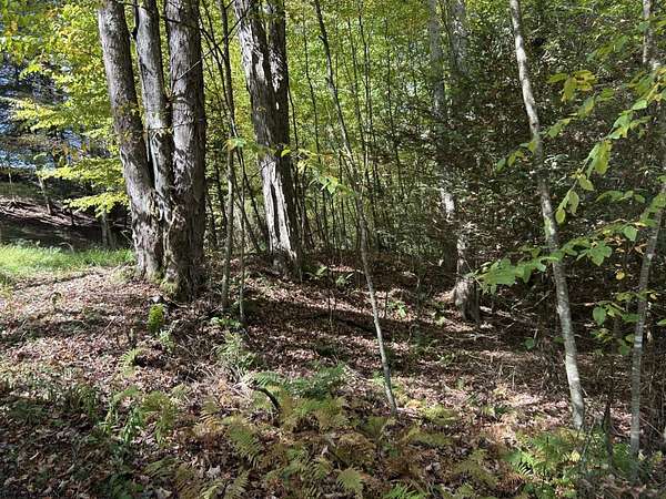 22.6 Acres of Recreational Land for Sale in Terra Alta, West Virginia