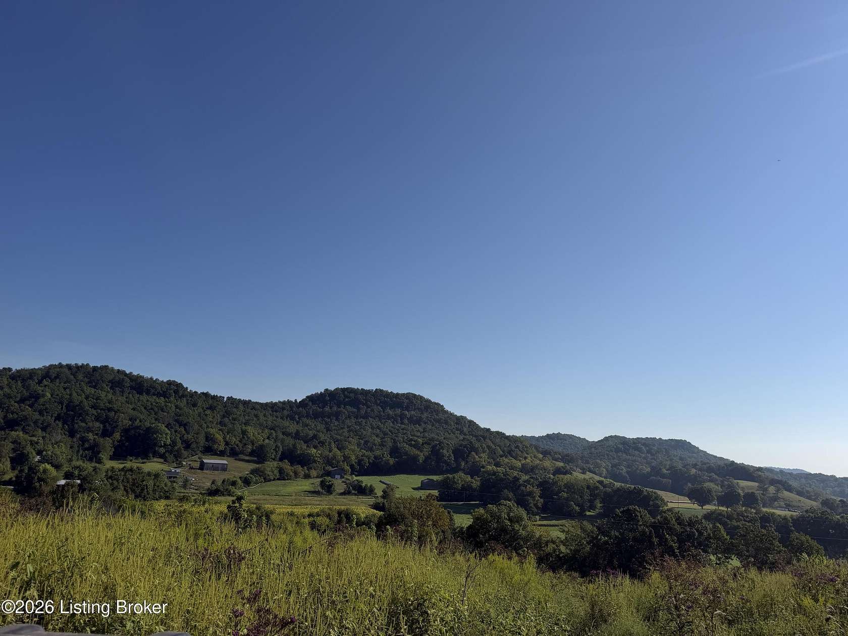 72.6 Acres of Land for Sale in Bradfordsville, Kentucky