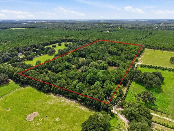 20 Acres of Land for Sale in Morriston, Florida
