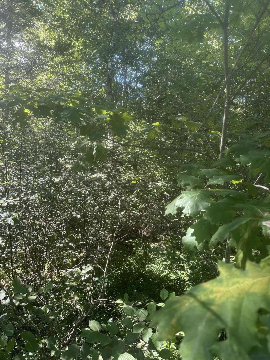 5.22 Acres of Residential Land for Sale in Steuben, Maine