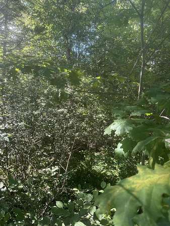 5.22 Acres of Residential Land for Sale in Steuben, Maine