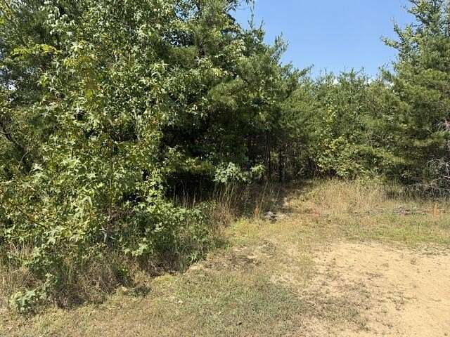 10.7 Acres of Land for Sale in Flat Rock, Alabama