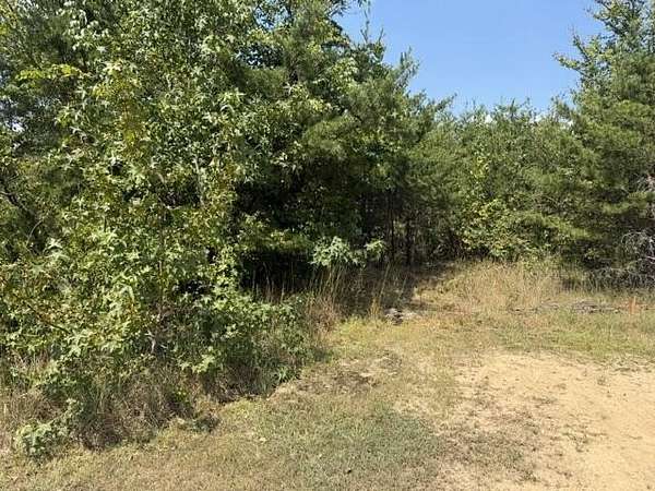 10.7 Acres of Land for Sale in Flat Rock, Alabama