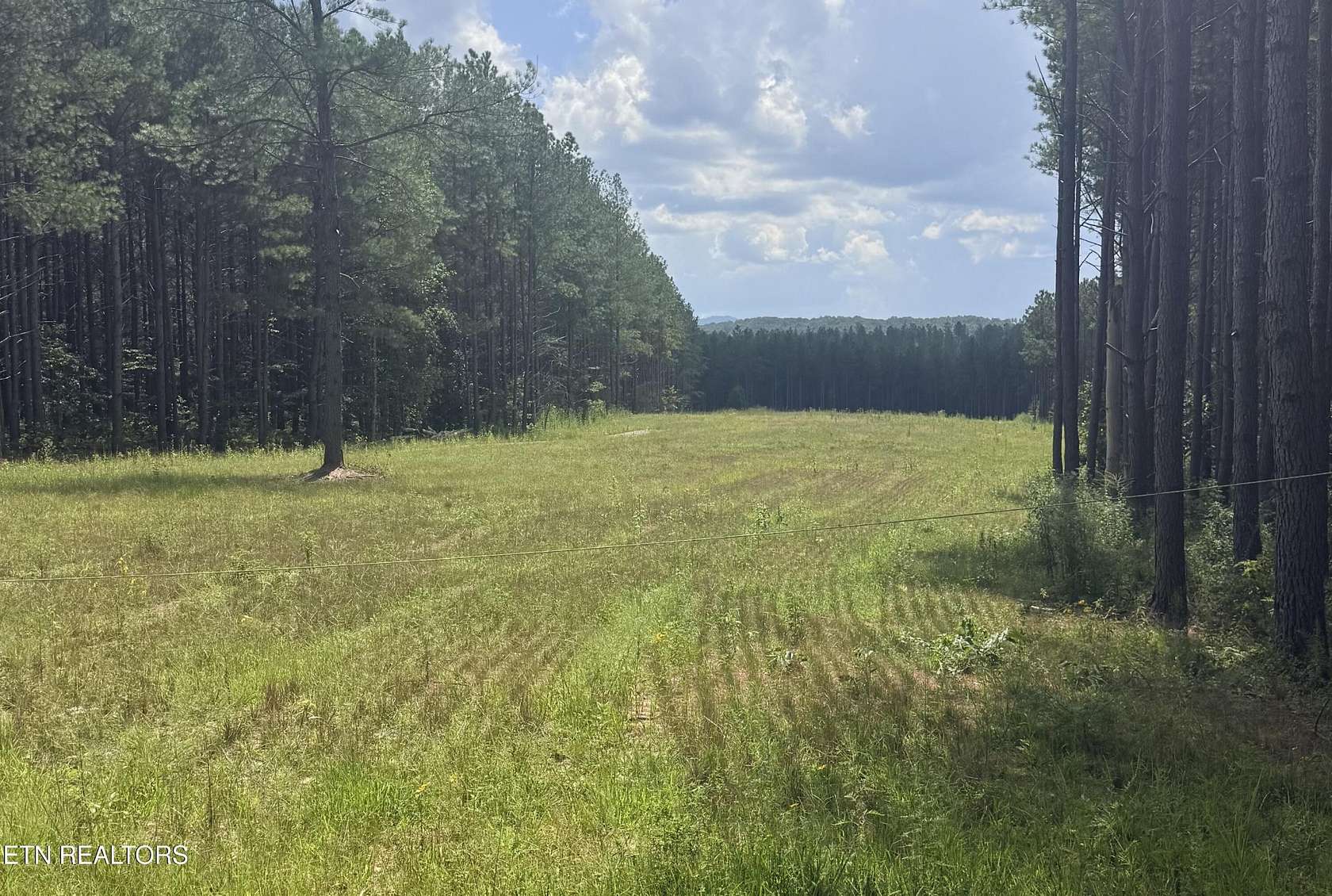 17.9 Acres of Recreational & Residential Land for Sale in Sunbright, Tennessee