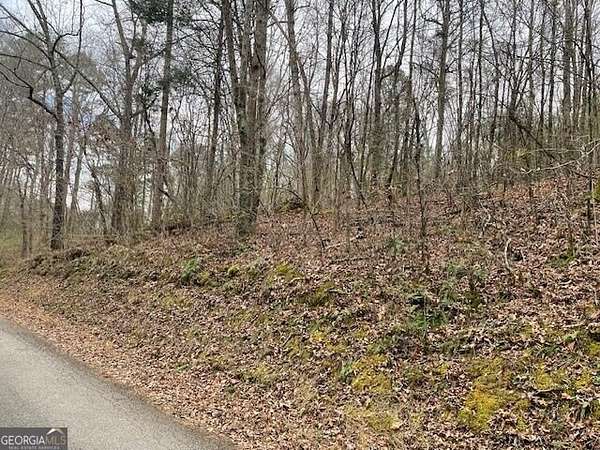 0.62 Acres of Residential Land for Sale in Chickamauga, Georgia