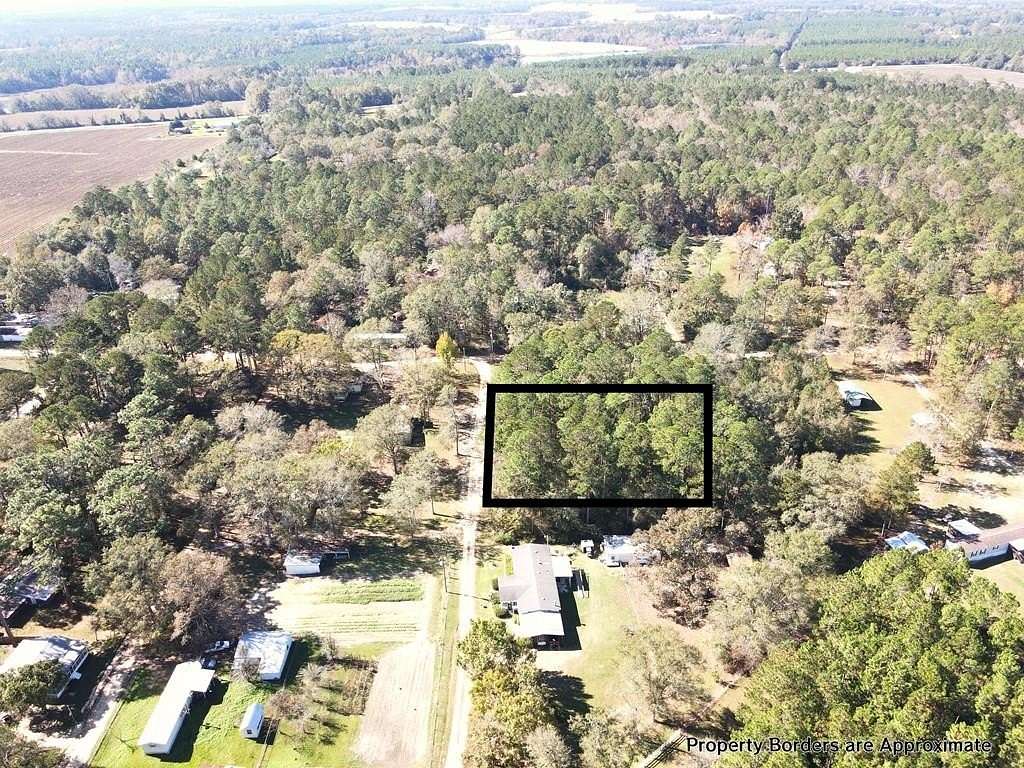 0.92 Acres of Residential Land for Sale in Abbeville, Georgia