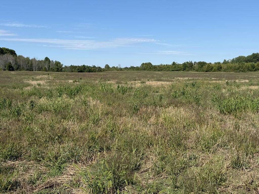 20 Acres of Land for Sale in Sister Bay, Wisconsin