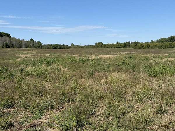 20 Acres of Land for Sale in Sister Bay, Wisconsin