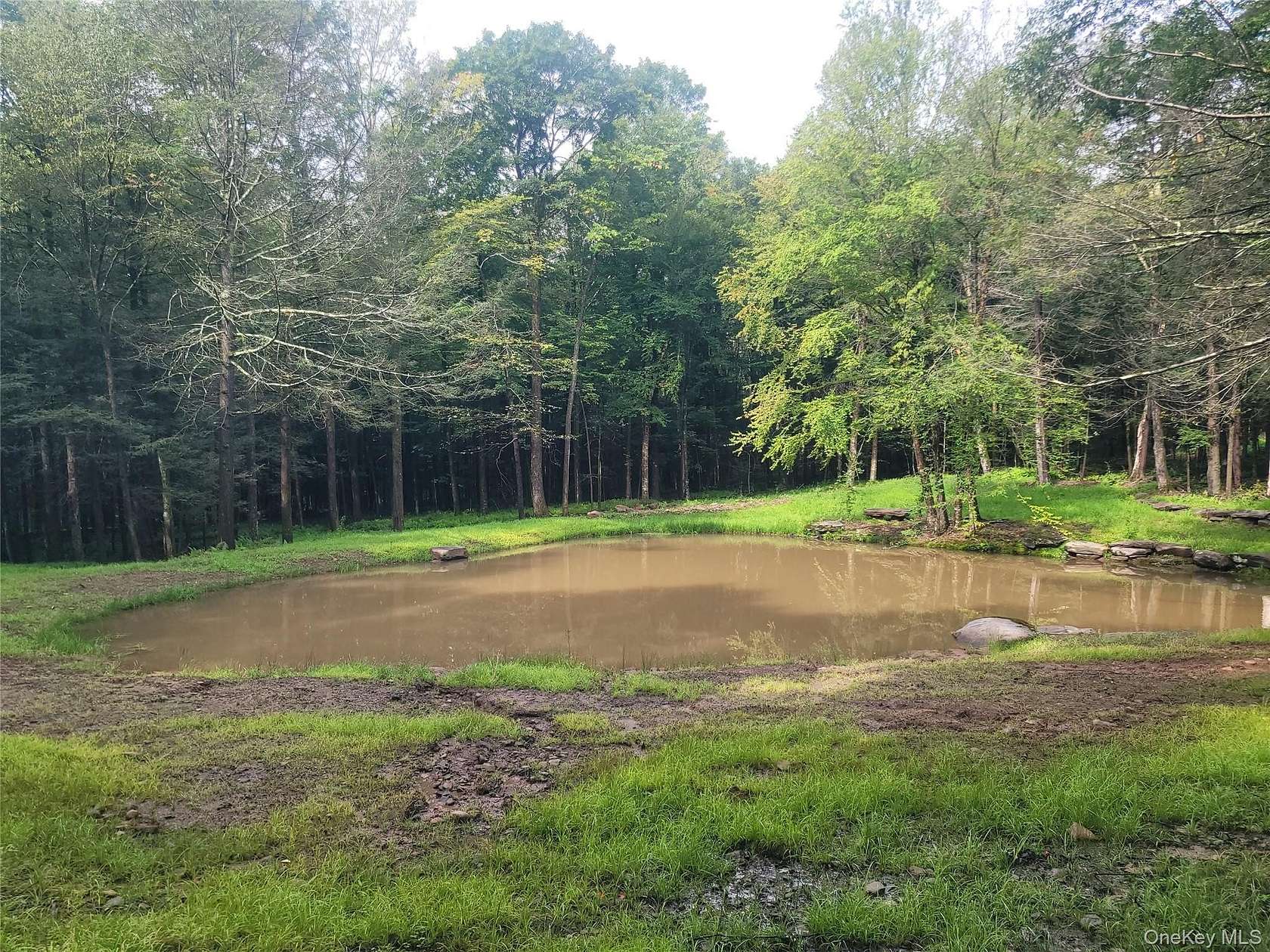 10 Acres of Residential Land for Sale in Parksville, New York