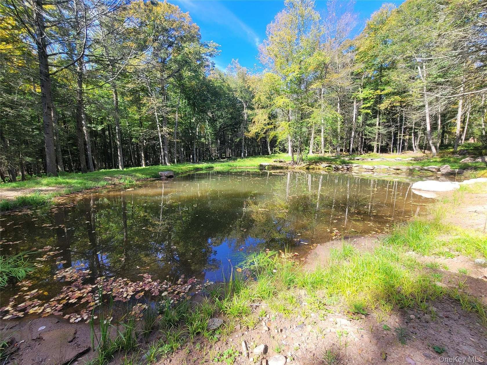 10 Acres of Residential Land for Sale in Parksville, New York