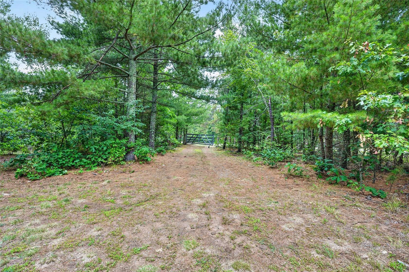 5 Acres of Land for Sale in Danbury, Wisconsin