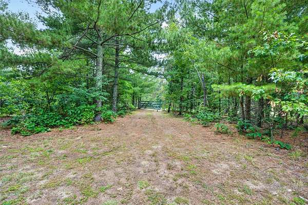 5 Acres of Land for Sale in Danbury, Wisconsin
