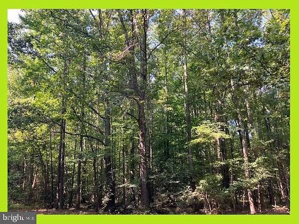0.28 Acres of Residential Land for Sale in Bushwood, Maryland