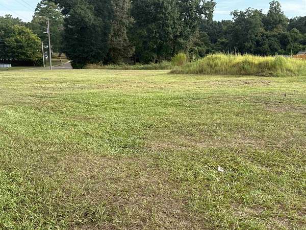 1 Acre of Commercial Land for Sale in Andalusia, Alabama