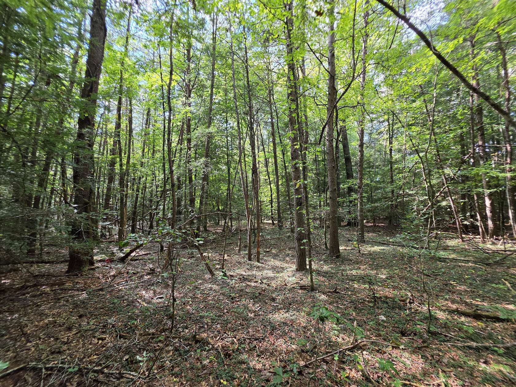 8.1 Acres of Residential Land for Sale in Beersheba Springs, Tennessee