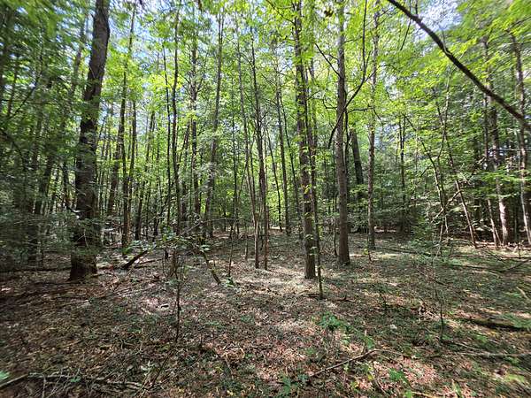 8.1 Acres of Residential Land for Sale in Beersheba Springs, Tennessee