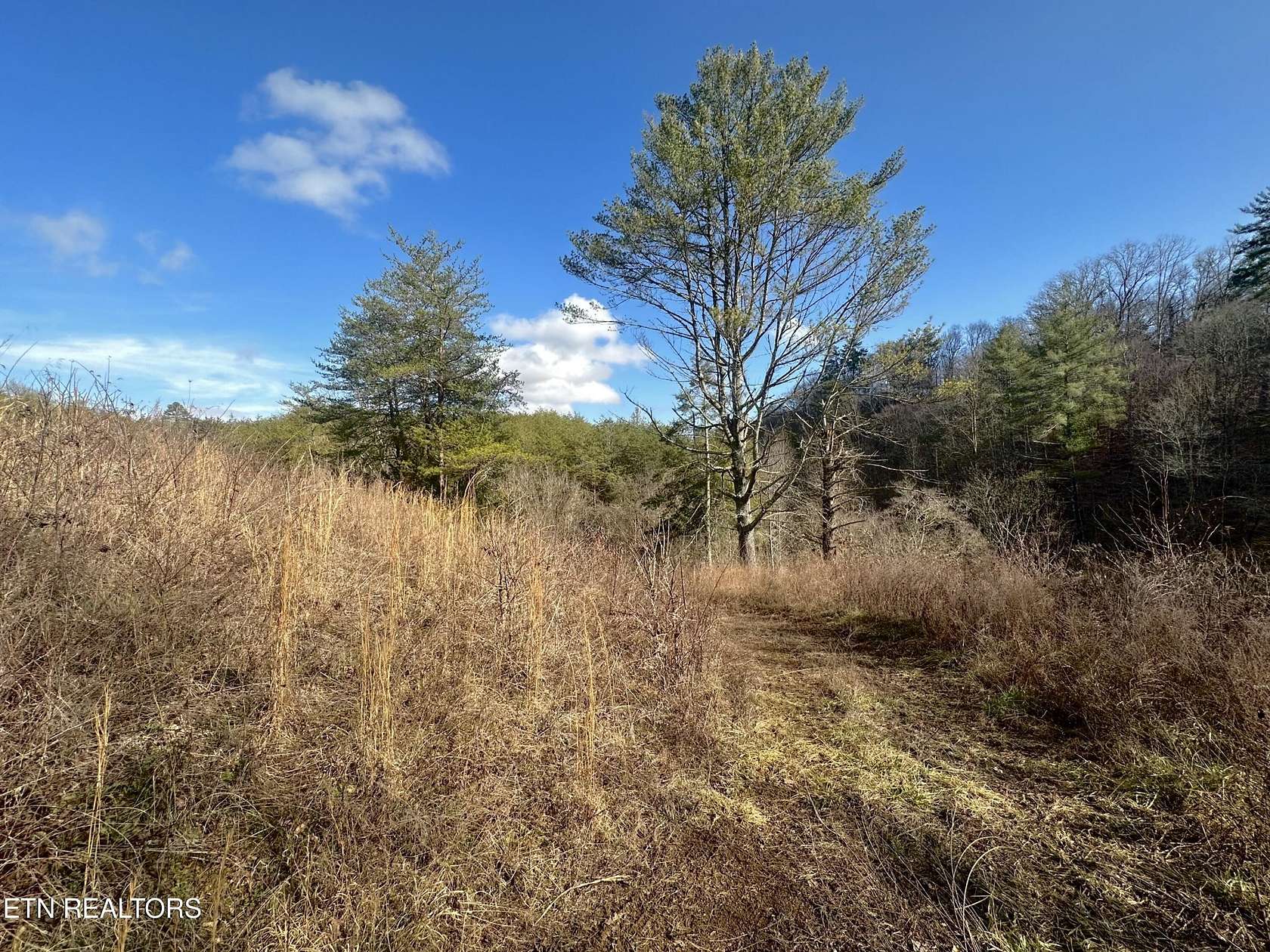 48 Acres of Land for Sale in Sevierville, Tennessee