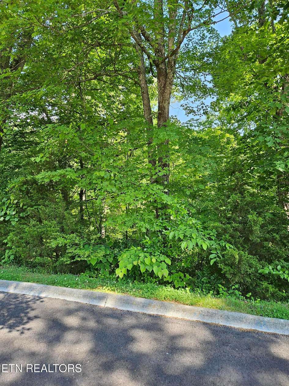 0.19 Acres of Residential Land for Sale in Sevierville, Tennessee