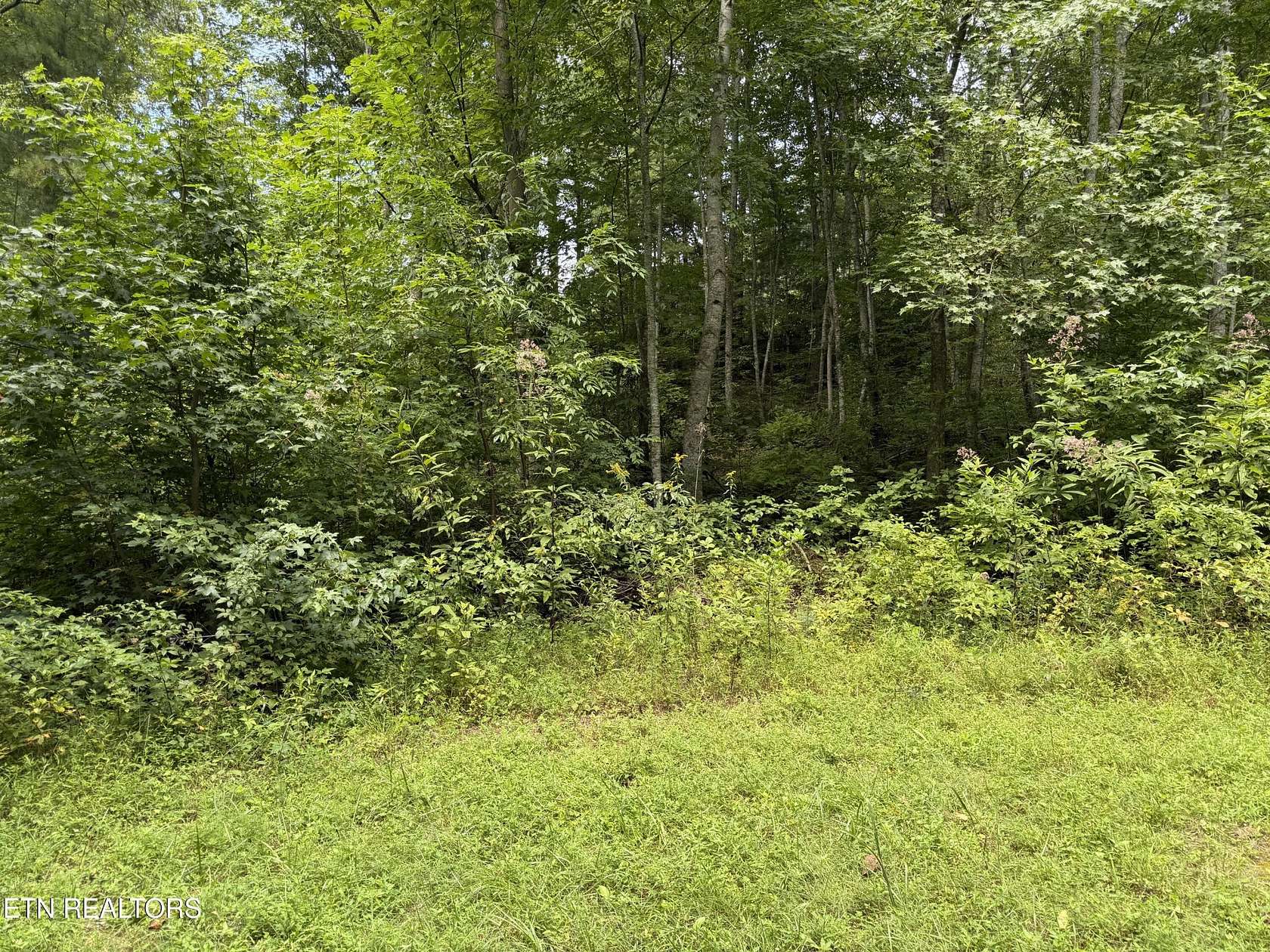 2.45 Acres of Residential Land for Sale in Sevierville, Tennessee