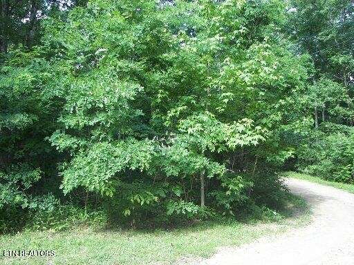 0.33 Acres of Residential Land for Sale in Sevierville, Tennessee